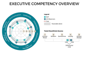 Checkpoint 360 Executive Competency Overview
